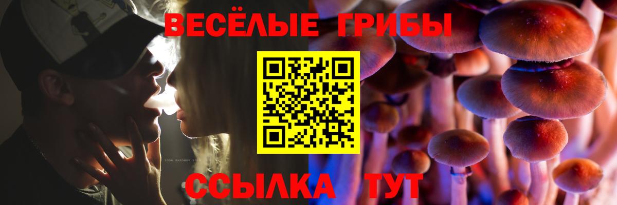 Новочеркасск  Галлюциногенные грибы прущие грибы  Вход с VPN 